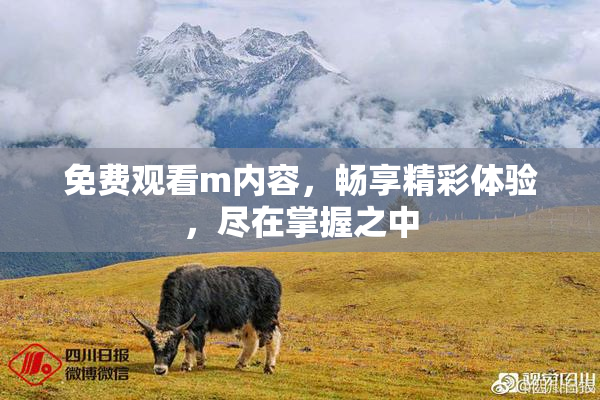 免费观看m内容，畅享精彩体验，尽在掌握之中