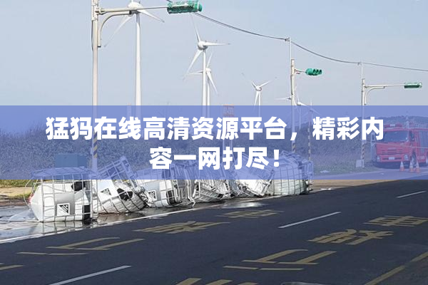 猛犸在线高清资源平台，精彩内容一网打尽！