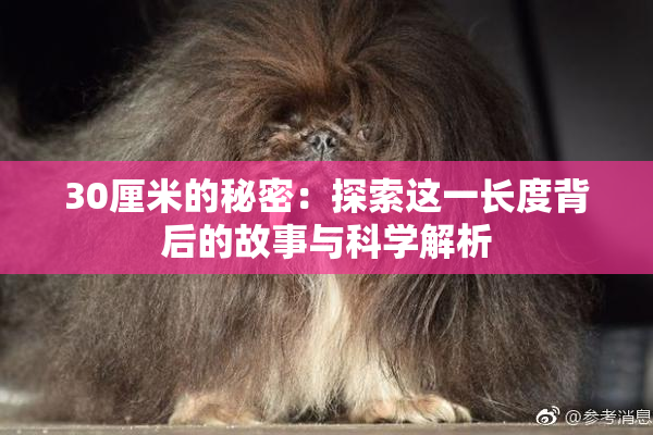 30厘米的秘密：探索这一长度背后的故事与科学解析