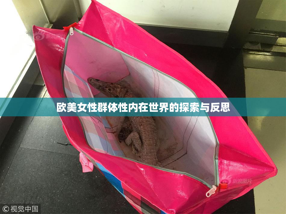欧美女性群体性内在世界的探索与反思