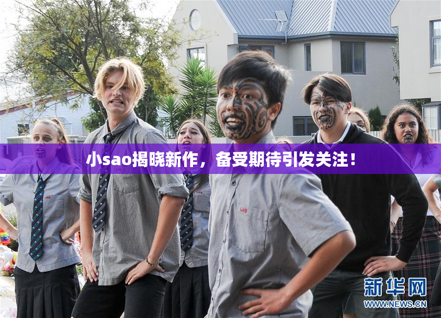 小sao揭晓新作，备受期待引发关注！