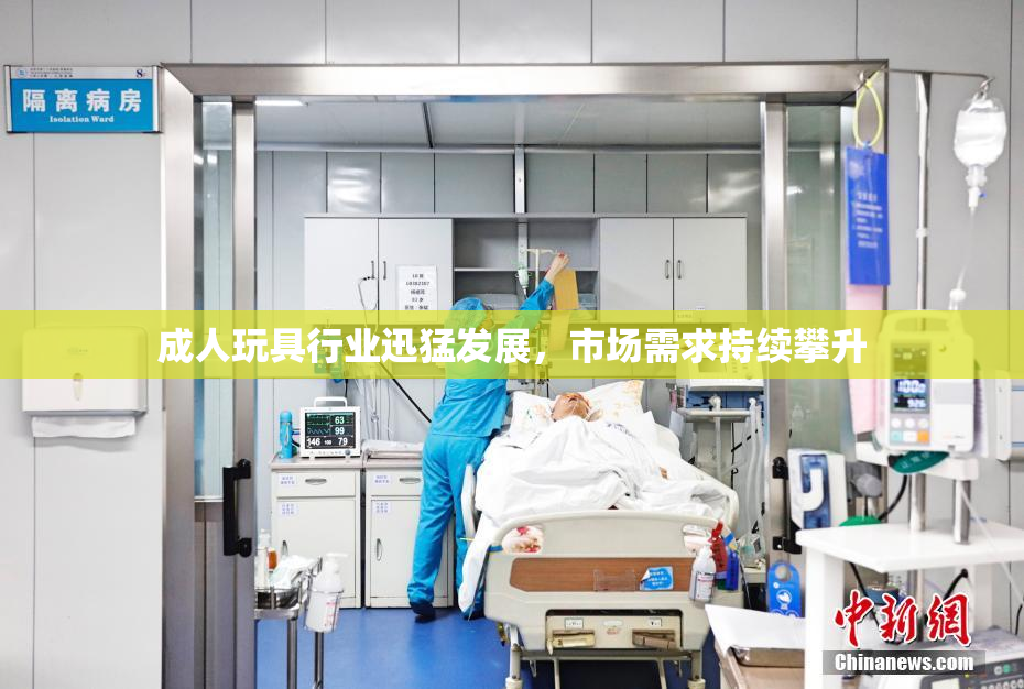 成人玩具行业迅猛发展，市场需求持续攀升