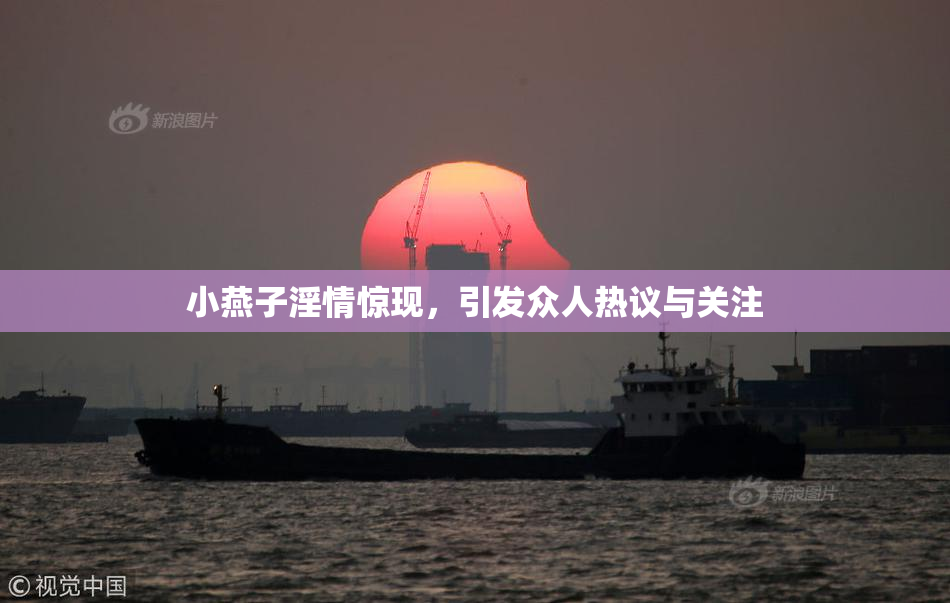 小燕子淫情惊现，引发众人热议与关注