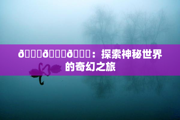 🍆🍑🔞：探索神秘世界的奇幻之旅