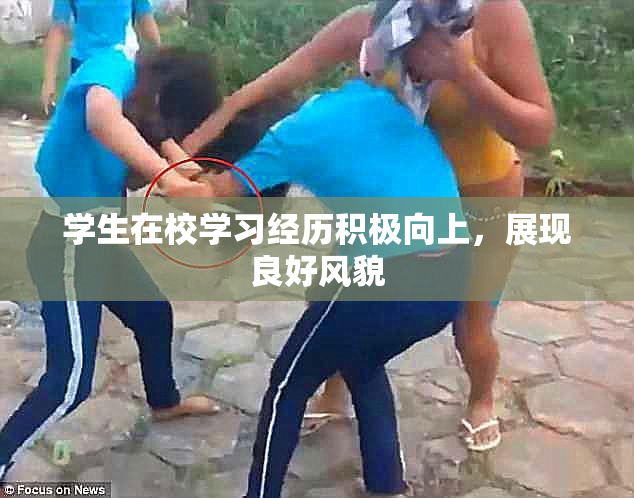 学生在校学习经历积极向上，展现良好风貌