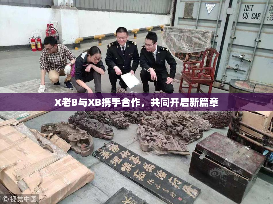 X老B与XB携手合作，共同开启新篇章