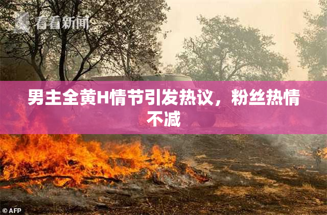 男主全黄H情节引发热议，粉丝热情不减