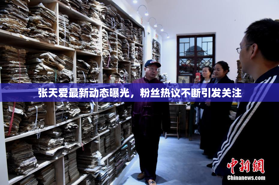 张天爱最新动态曝光，粉丝热议不断引发关注