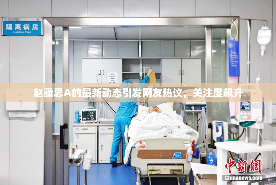 赵露思A的最新动态引发网友热议，关注度飙升