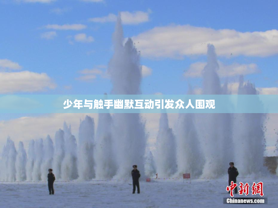 少年与触手幽默互动引发众人围观