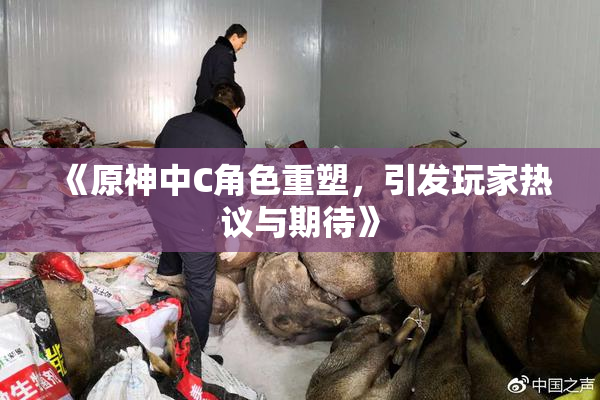 《原神中C角色重塑，引发玩家热议与期待》