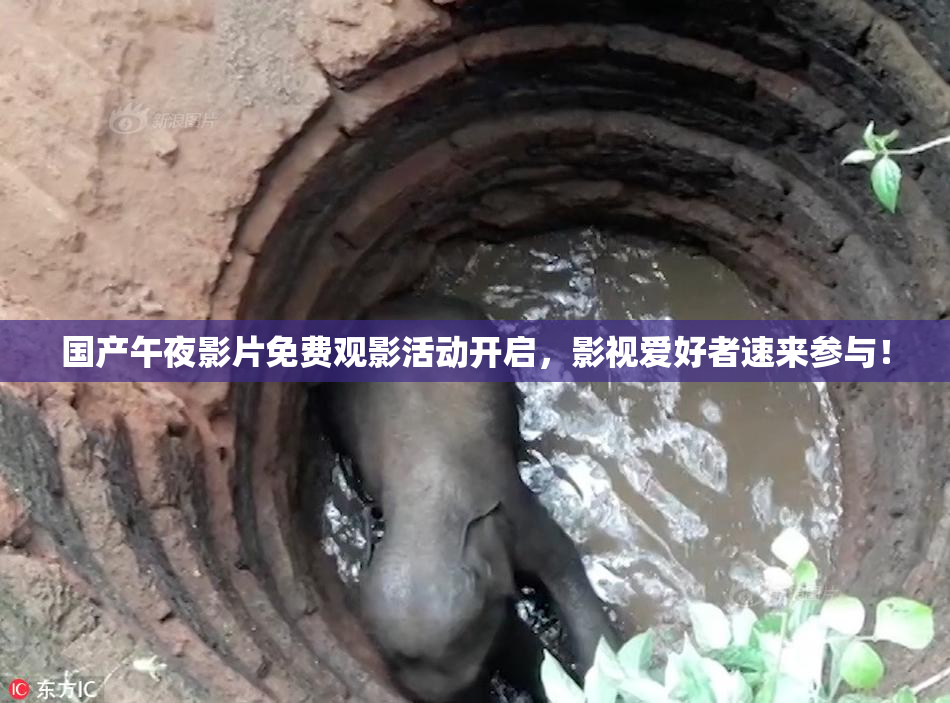 国产午夜影片免费观影活动开启，影视爱好者速来参与！