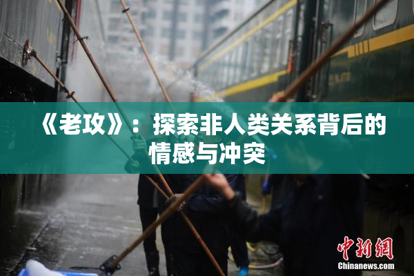 《老攻》：探索非人类关系背后的情感与冲突