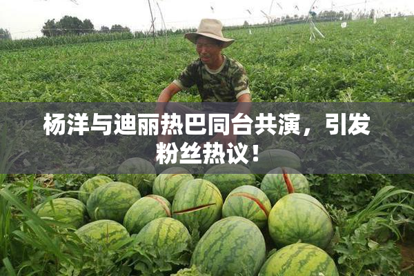 杨洋与迪丽热巴同台共演，引发粉丝热议！