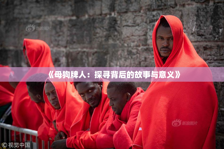 《母狗牌人：探寻背后的故事与意义》