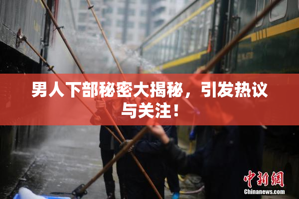 男人下部秘密大揭秘，引发热议与关注！