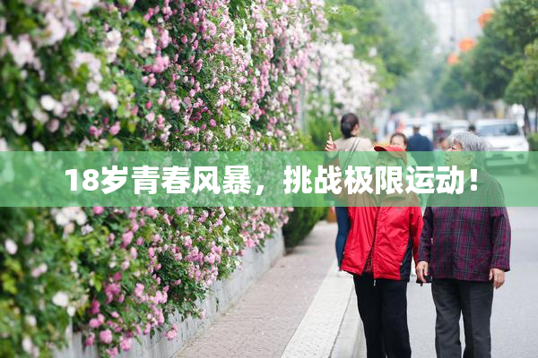 18岁青春风暴，挑战极限运动！