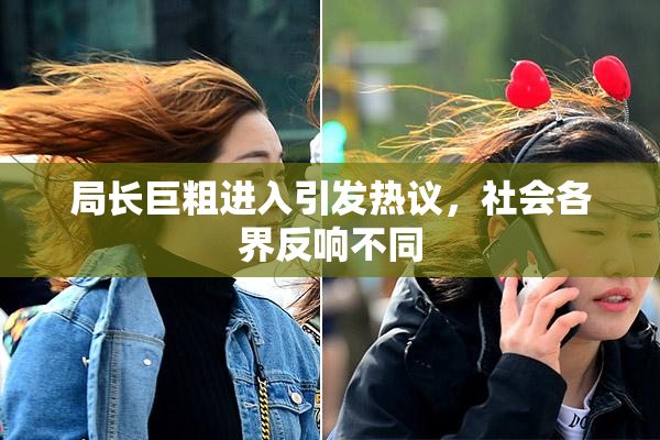 局长巨粗进入引发热议，社会各界反响不同