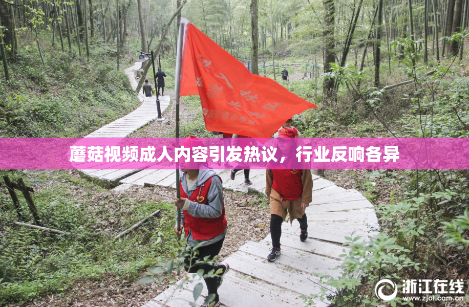 蘑菇视频成人内容引发热议，行业反响各异