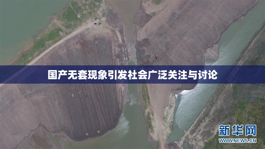 国产无套现象引发社会广泛关注与讨论