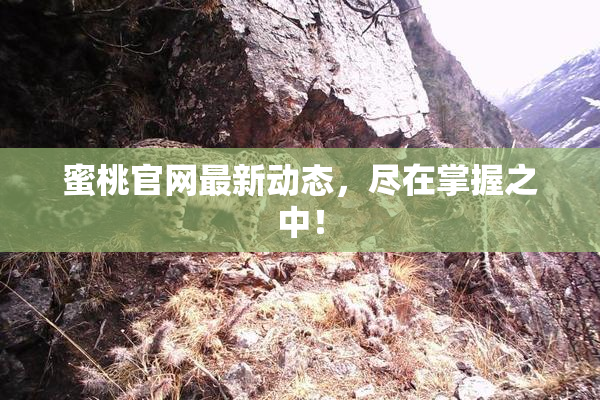 蜜桃官网最新动态，尽在掌握之中！