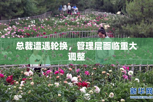 总裁遭遇轮换，管理层面临重大调整