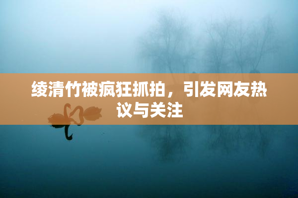 绫清竹被疯狂抓拍，引发网友热议与关注