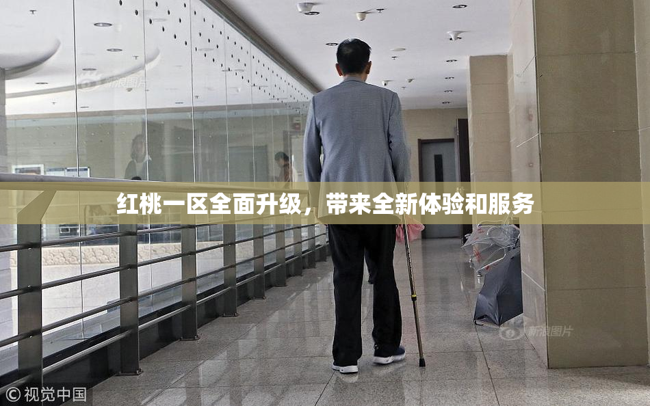 红桃一区全面升级，带来全新体验和服务