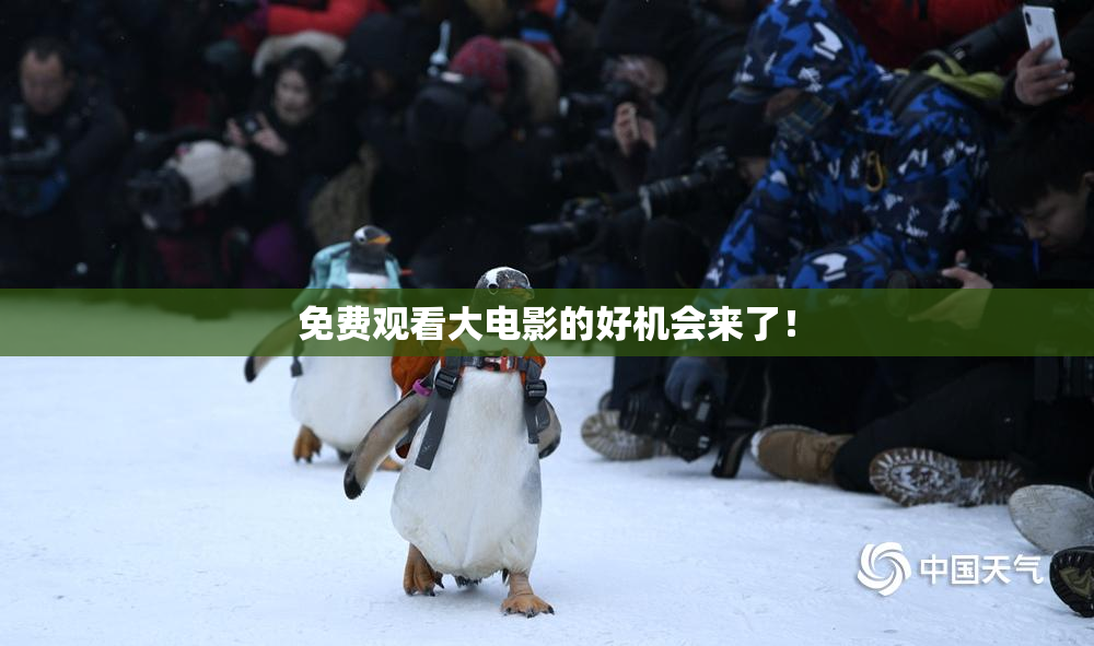 免费观看大电影的好机会来了！