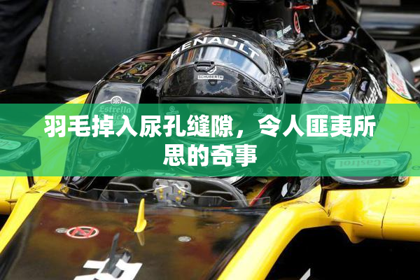 羽毛掉入尿孔缝隙，令人匪夷所思的奇事