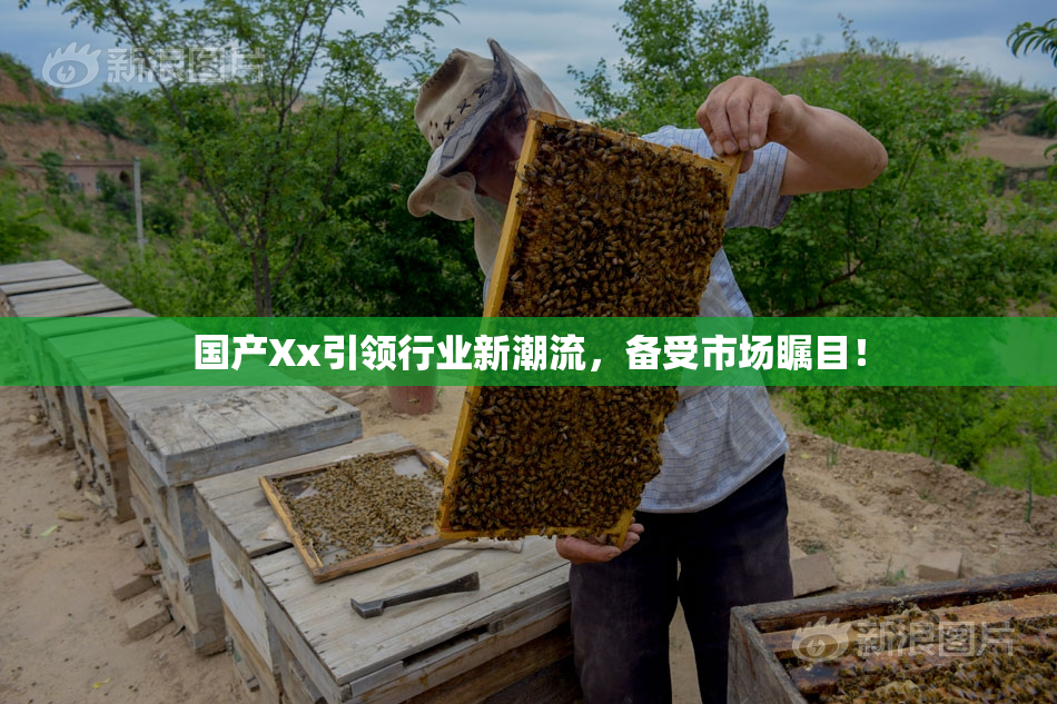 国产Xx引领行业新潮流，备受市场瞩目！