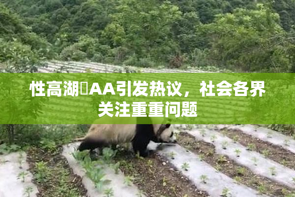 性高湖婬AA引发热议，社会各界关注重重问题