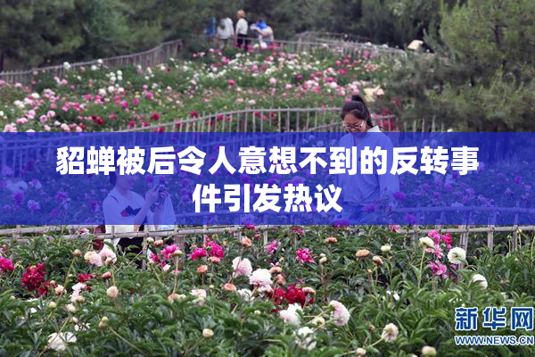 貂蝉被后令人意想不到的反转事件引发热议