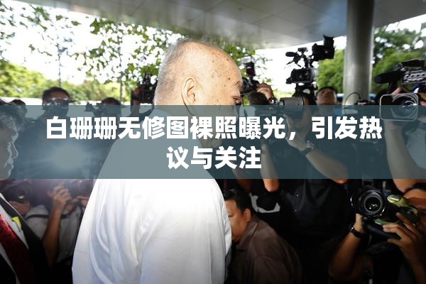 白珊珊无修图裸照曝光，引发热议与关注