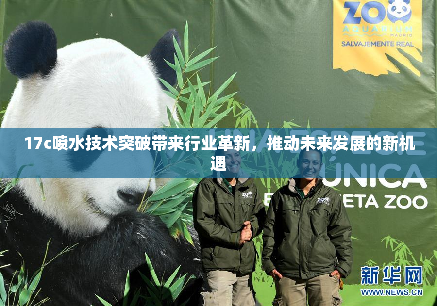17c喷水技术突破带来行业革新，推动未来发展的新机遇