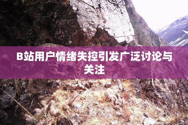 B站用户情绪失控引发广泛讨论与关注