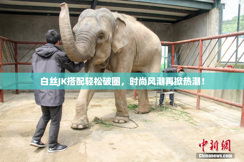 白丝JK搭配轻松破圈，时尚风潮再掀热潮！