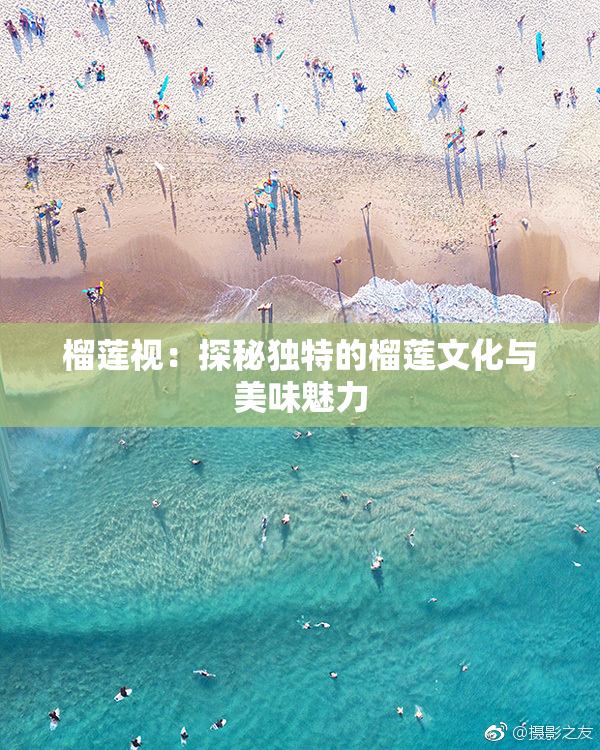 榴莲视：探秘独特的榴莲文化与美味魅力