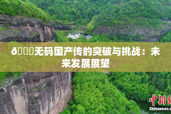 🔞无码国产传的突破与挑战：未来发展展望