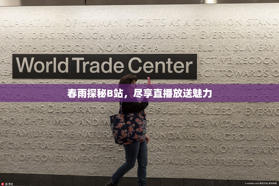 春雨探秘B站，尽享直播放送魅力