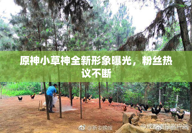 原神小草神全新形象曝光，粉丝热议不断