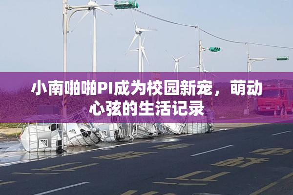 小南啪啪PI成为校园新宠，萌动心弦的生活记录