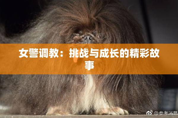 女警调教：挑战与成长的精彩故事