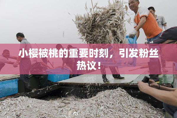 小樱被桃的重要时刻，引发粉丝热议！