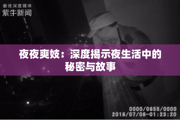 夜夜爽妓：深度揭示夜生活中的秘密与故事