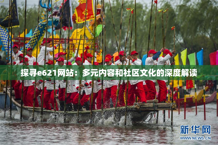 探寻e621网站：多元内容和社区文化的深度解读