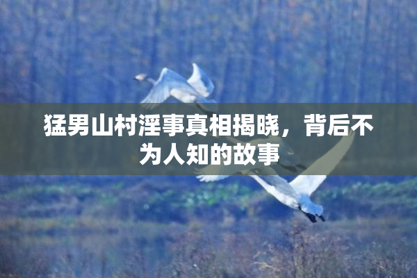 猛男山村淫事真相揭晓，背后不为人知的故事