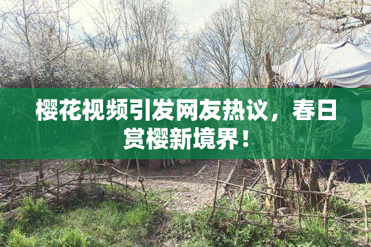 樱花视频引发网友热议，春日赏樱新境界！