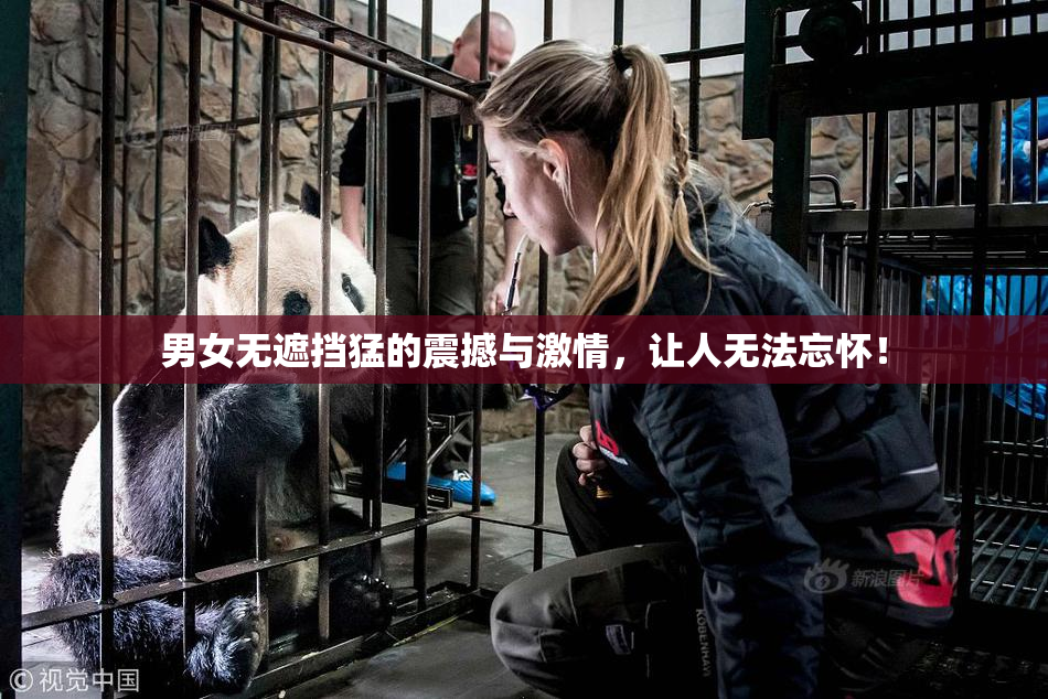 男女无遮挡猛的震撼与激情，让人无法忘怀！