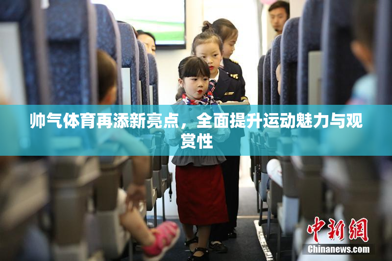 帅气体育再添新亮点，全面提升运动魅力与观赏性